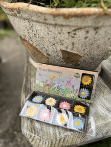 Hovedbilde Fryda Norske markblomster