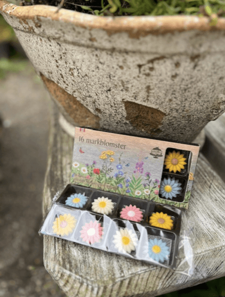 Fryda Norske markblomster