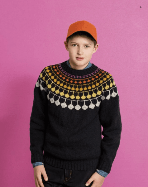 HEFTE 242R Barn design i finull