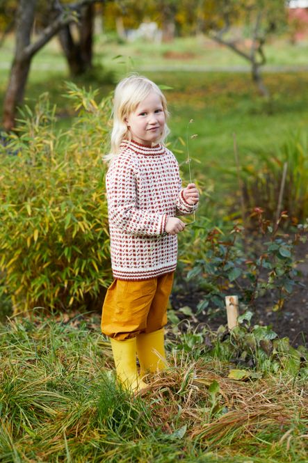 Hovedbilde 365-1 Islender til barn ...