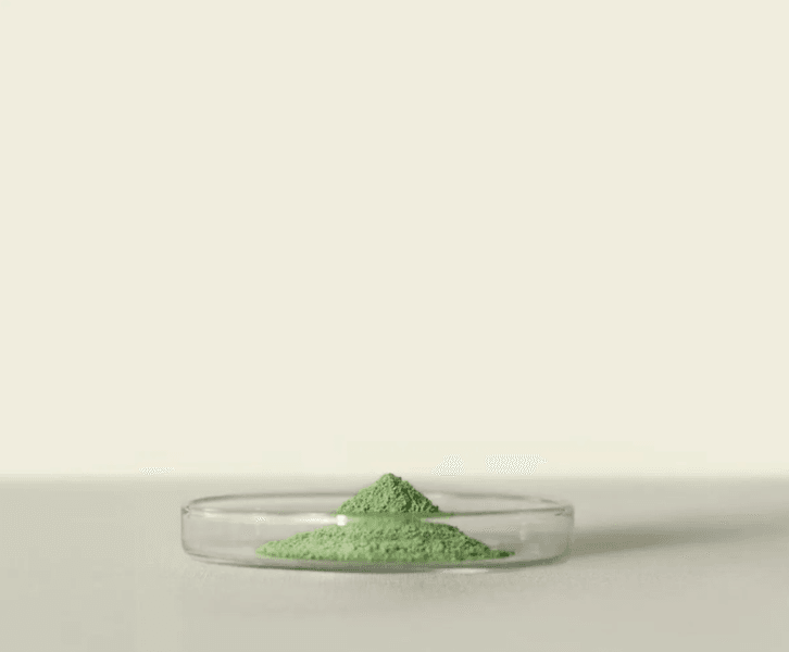 Jacu Matcha midori