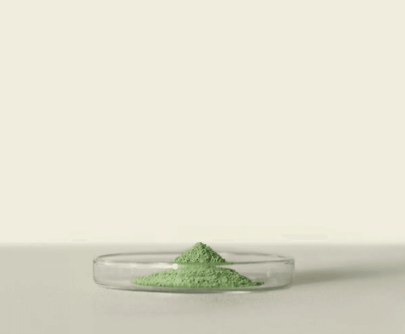 Jacu Matcha midori