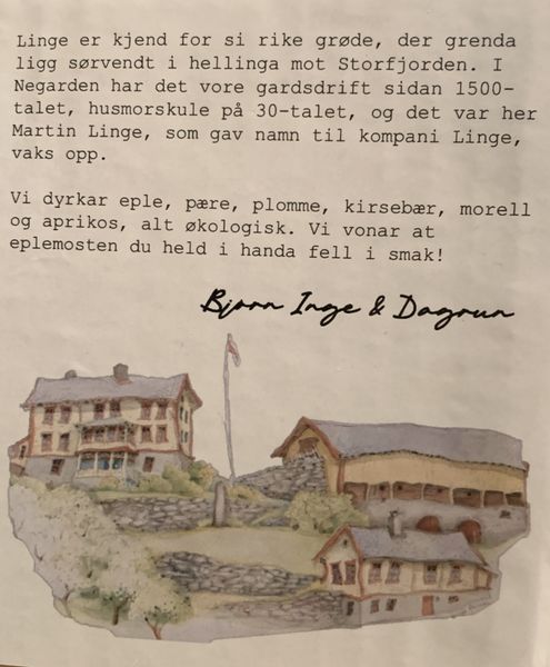 Negarden Linge eplemost 3l